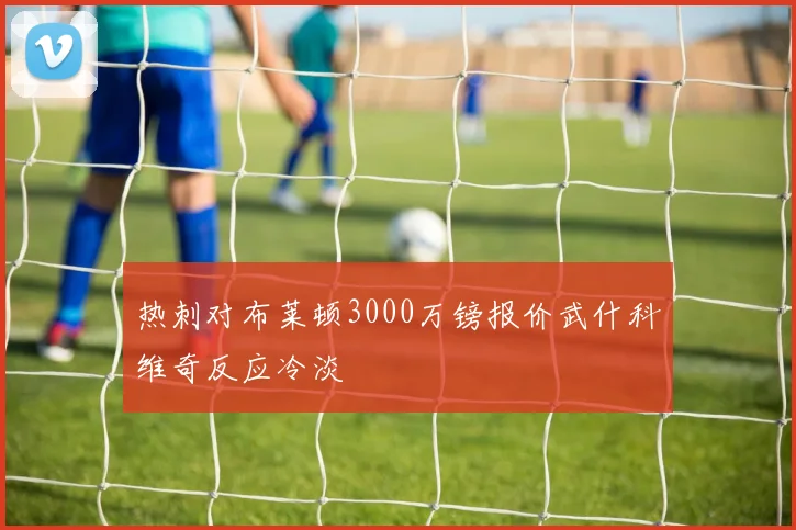 热刺对布莱顿3000万镑报价武什科维奇反应冷淡