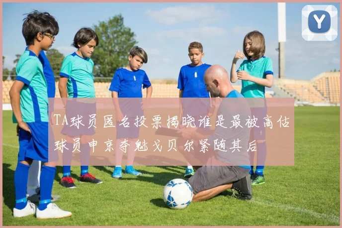 TA球员匿名投票揭晓谁是最被高估球员申京夺魁戈贝尔紧随其后